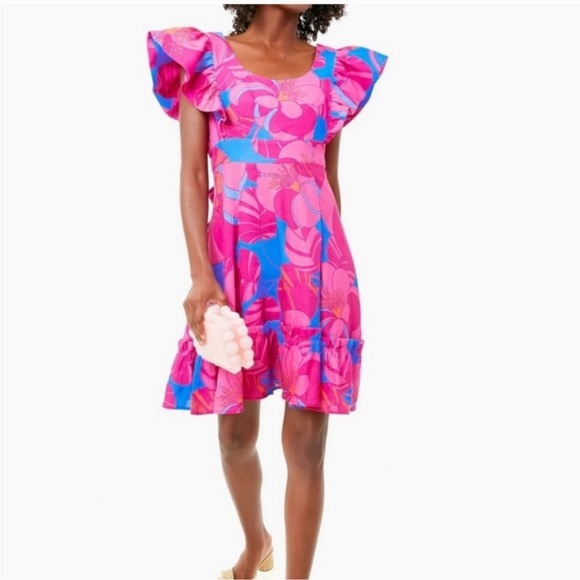 Tuckernuck Dresses & Skirts - Tuckernuck Cameran Eubanks Wild Azalea Edisto Dress Pink Blue Ruffle